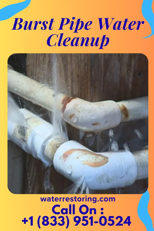 Burst Pipe Water Cleanup in Fish Lake, IN