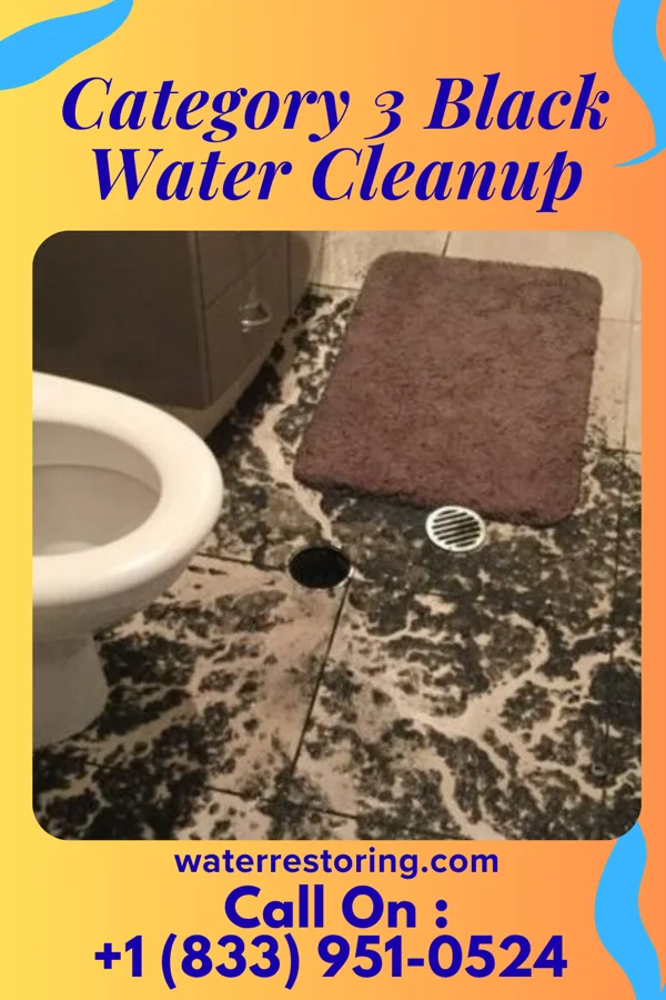 Category 3 Black Water Cleanup in Fish Lake, IN