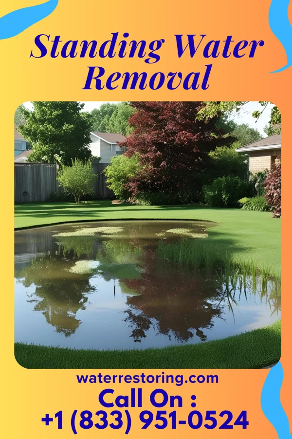 Standing Water Removal in Fish Lake, IN
